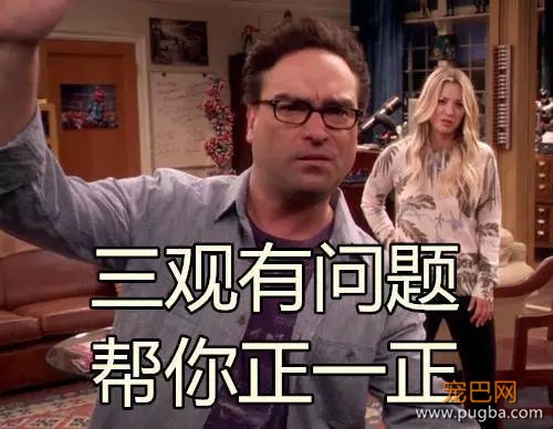 湘潭大学女生被群狗撕咬，动保协会该赔钱？-10.jpeg
