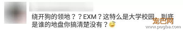 湘潭大学女生被群狗撕咬，动保协会该赔钱？-15.jpeg