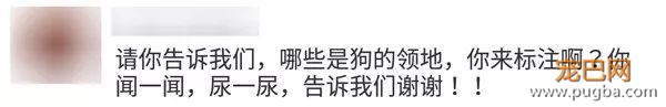 湘潭大学女生被群狗撕咬，动保协会该赔钱？-17.jpeg