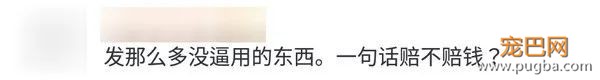 湘潭大学女生被群狗撕咬，动保协会该赔钱？-21.jpeg