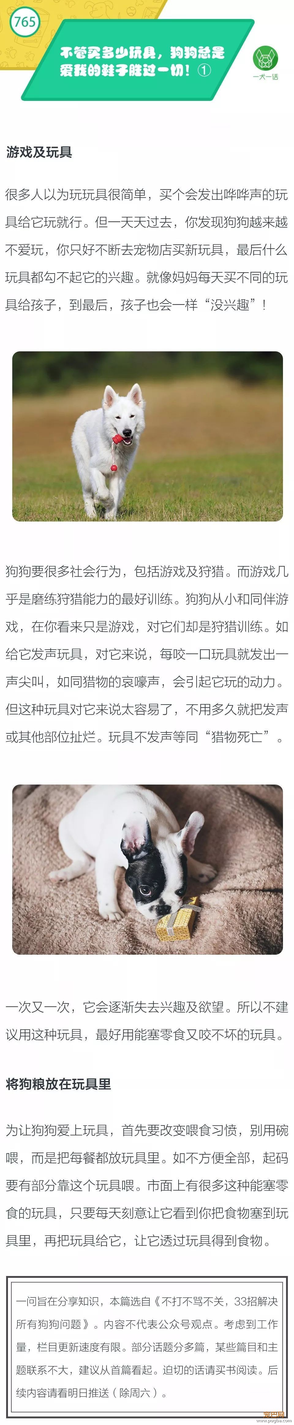 不管买多少玩具，狗狗总是爱我的鞋子胜过一切！①-1.jpeg