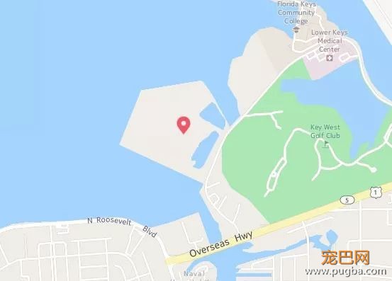 囚犯管理动物农场是什么情况？又想骗我去美国坐牢……-2.jpeg