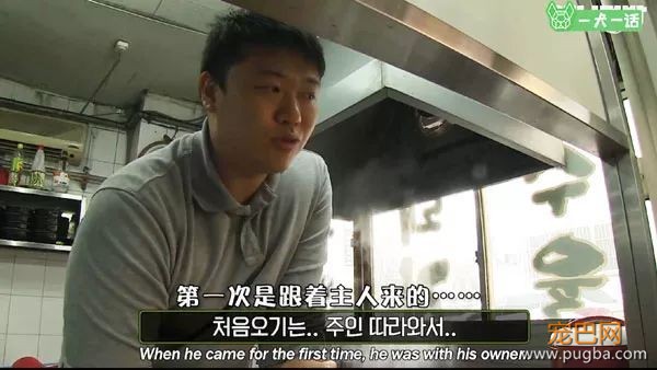 即便四处讨饭也保持尊严的狗狗，背后藏着一个故事-6.jpeg