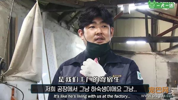 即便四处讨饭也保持尊严的狗狗，背后藏着一个故事-8.jpeg