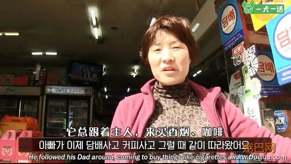 即便四处讨饭也保持尊严的狗狗，背后藏着一个故事-16.jpeg