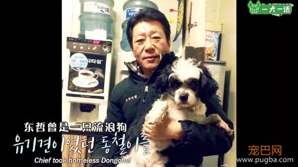 即便四处讨饭也保持尊严的狗狗，背后藏着一个故事-19.jpeg