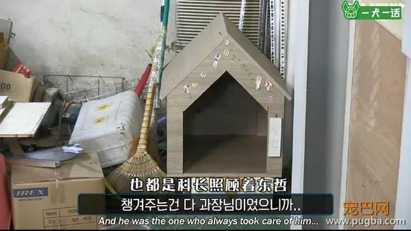 即便四处讨饭也保持尊严的狗狗，背后藏着一个故事-18.jpeg