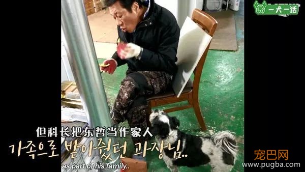即便四处讨饭也保持尊严的狗狗，背后藏着一个故事-20.jpeg