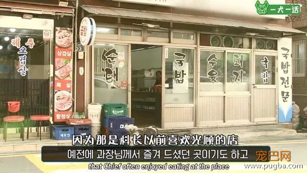 即便四处讨饭也保持尊严的狗狗，背后藏着一个故事-22.jpeg