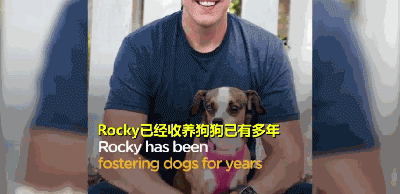 三岁狗狗汪生第一次摇尾巴...这一幕让不少网友泪目！-4.gif