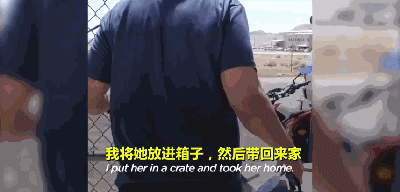 三岁狗狗汪生第一次摇尾巴...这一幕让不少网友泪目！-3.gif