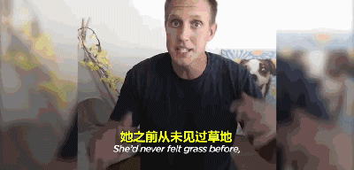 三岁狗狗汪生第一次摇尾巴...这一幕让不少网友泪目！-6.gif