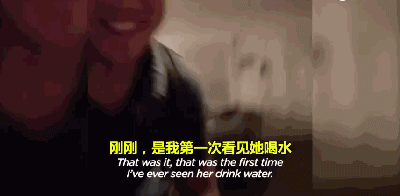 三岁狗狗汪生第一次摇尾巴...这一幕让不少网友泪目！-10.gif