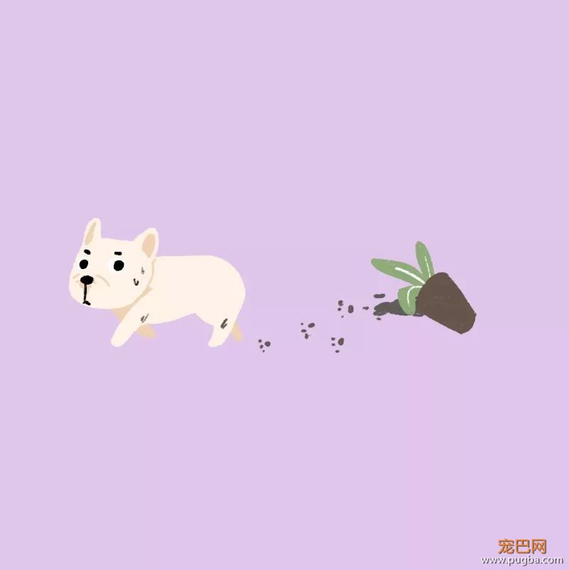 犯错就要挨揍？防揍玄学，了解一下-7.jpeg
