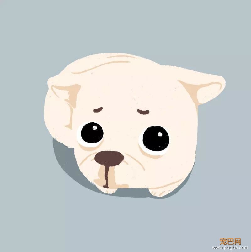 犯错就要挨揍？防揍玄学，了解一下-5.jpeg
