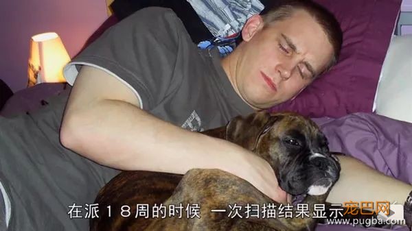 去他丫的纯种犬-8.jpeg
