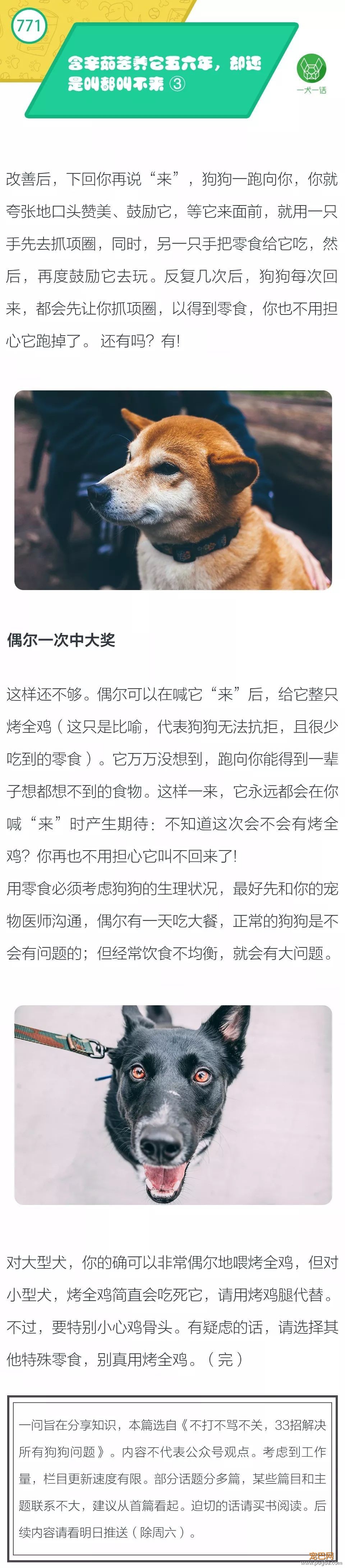 含辛茹苦养它五六年，却还是叫都叫不来 ③-1.jpeg