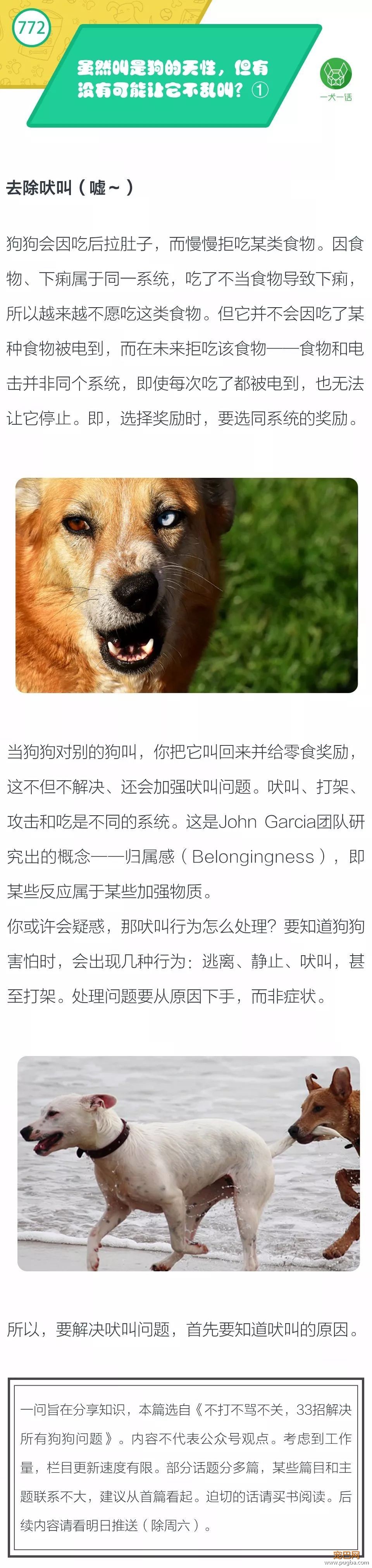 虽然叫是狗的天性，但有没有可能让它不乱叫？ ①-1.jpeg