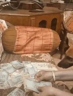 机智！国外男子用这种方式，从家里骗取私房钱……-7.gif