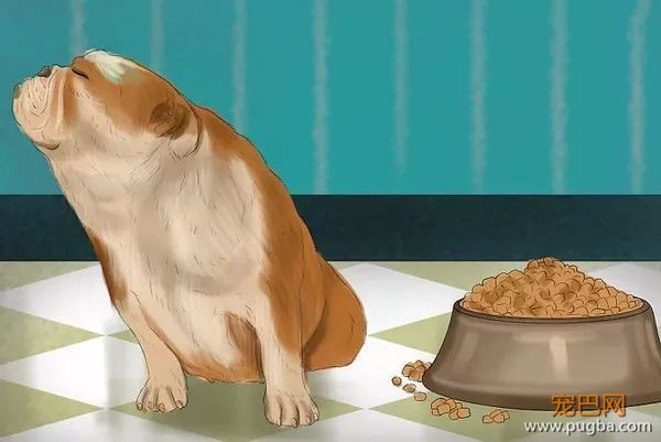 如何识别、处理狗狗的小情绪？-6.jpeg