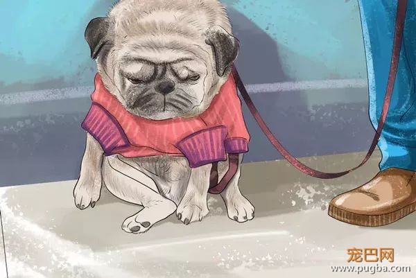 如何识别、处理狗狗的小情绪？-3.jpeg