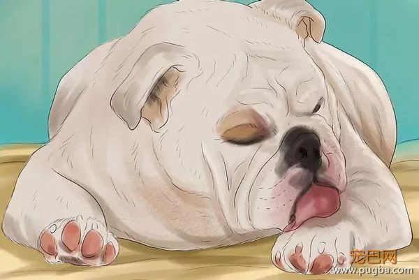 如何识别、处理狗狗的小情绪？-10.jpeg