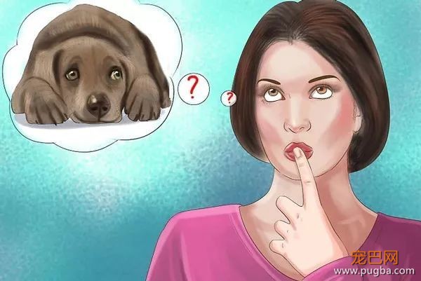 如何识别、处理狗狗的小情绪？-15.jpeg