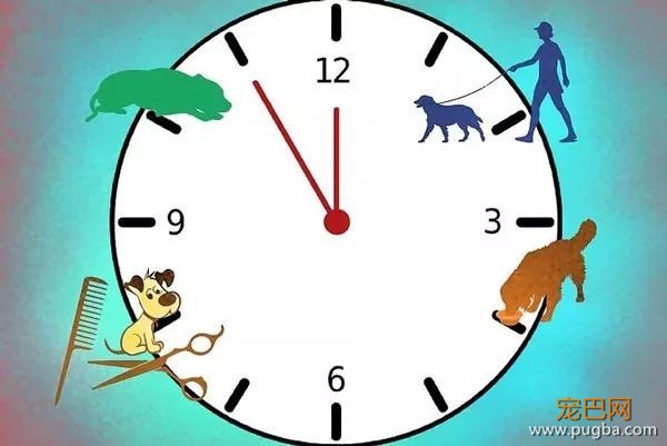 如何识别、处理狗狗的小情绪？-19.jpeg