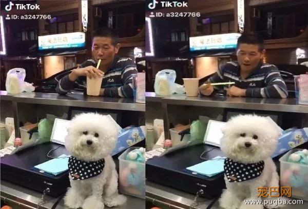 狗砸当店长，看见小姐姐就狂献殷勤，看到大叔就...这也太双标了！-4.jpeg
