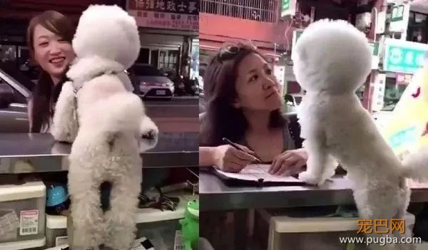 狗砸当店长，看见小姐姐就狂献殷勤，看到大叔就...这也太双标了！-5.jpeg