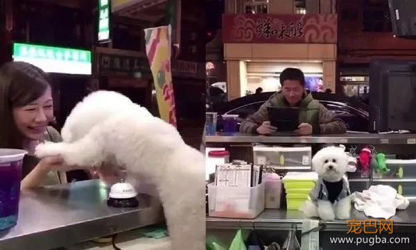 狗砸当店长，看见小姐姐就狂献殷勤，看到大叔就...这也太双标了！-6.jpeg