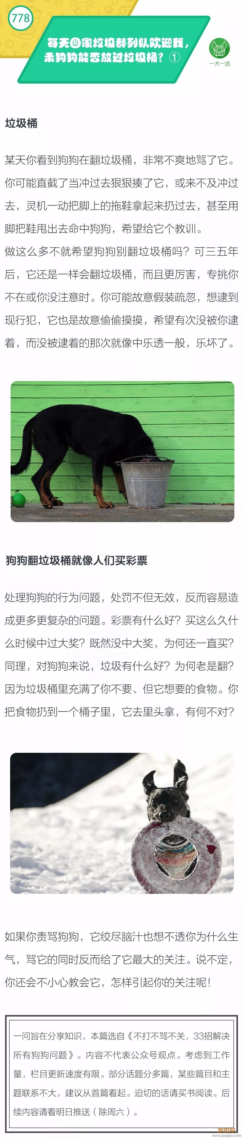 每天回家垃圾都列队欢迎我，乖狗狗能否放过垃圾桶？ ①-1.jpeg