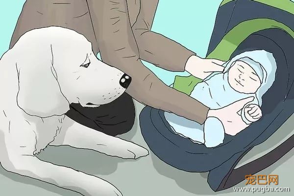 如何给狗狗和小主人，安排一次完美的相遇？-11.jpeg