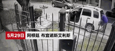 男子下车遭遇两只劫匪，关键时刻，车里的狗狗冲了出来...超帅！-1.gif
