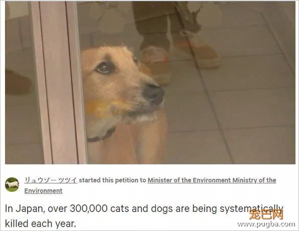 “不了，我才不要去那种虐待动物的国家。”-11.jpeg