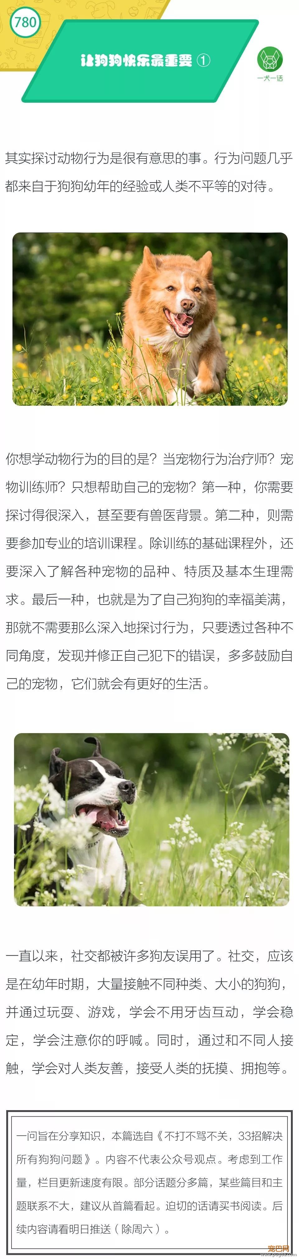 让狗狗愉快最重要 ①-1.jpeg