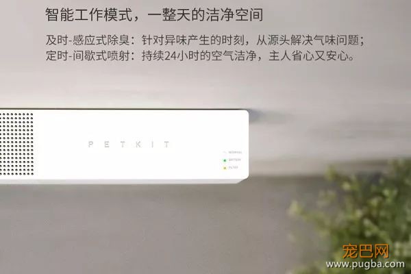 养宠家庭净味黑科技，129元送狗狗一口清新の呼吸-10.jpeg