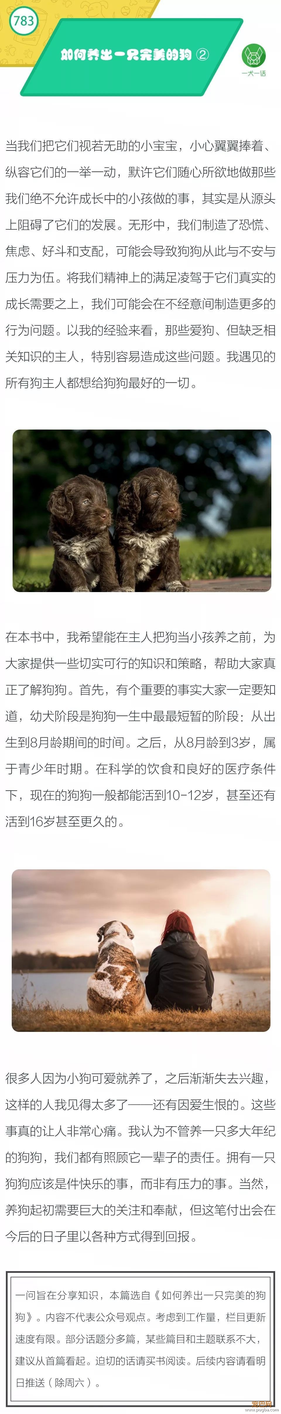 如何养出一只完美的狗？ ②-1.jpeg