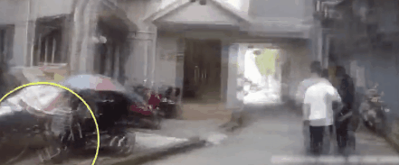 大金毛被偷后认贼作父，被警察解救后，竟然还袭警救小偷？-2.gif