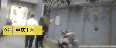 大金毛被偷后认贼作父，被警察解救后，竟然还袭警救小偷？-4.gif