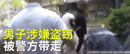 大金毛被偷后认贼作父，被警察解救后，竟然还袭警救小偷？-1.gif