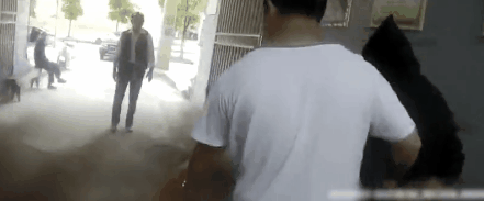 大金毛被偷后认贼作父，被警察解救后，竟然还袭警救小偷？-5.gif
