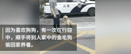 大金毛被偷后认贼作父，被警察解救后，竟然还袭警救小偷？-9.gif