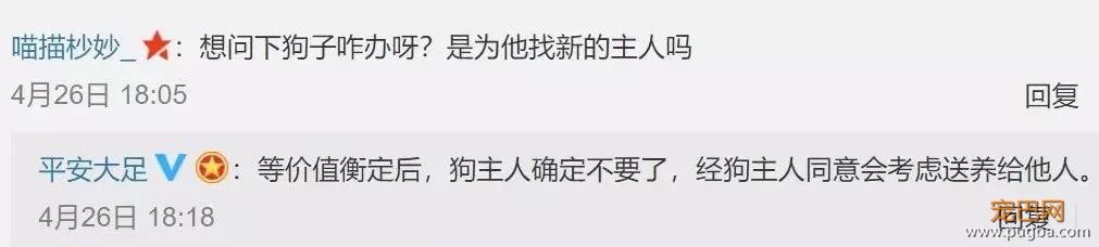 大金毛被偷后认贼作父，被警察解救后，竟然还袭警救小偷？-16.jpg