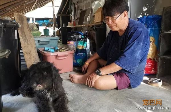 收养的狗狗忽然失踪，当主人找到它时，所有人都泪目了……-7.jpeg