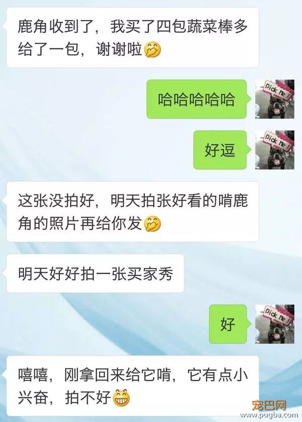 鹿角：一根咬起就不舍得放下的磨牙玩具-16.jpeg