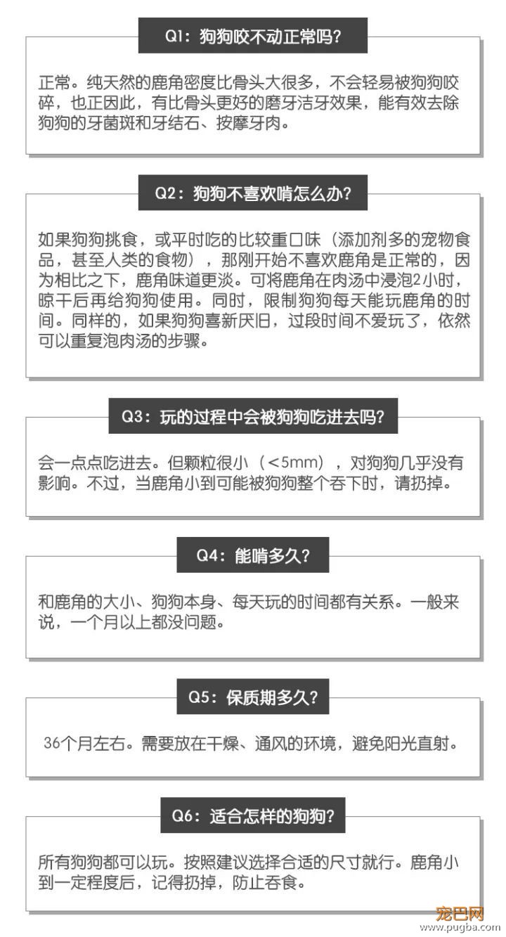 鹿角：一根咬起就不舍得放下的磨牙玩具-26.jpeg