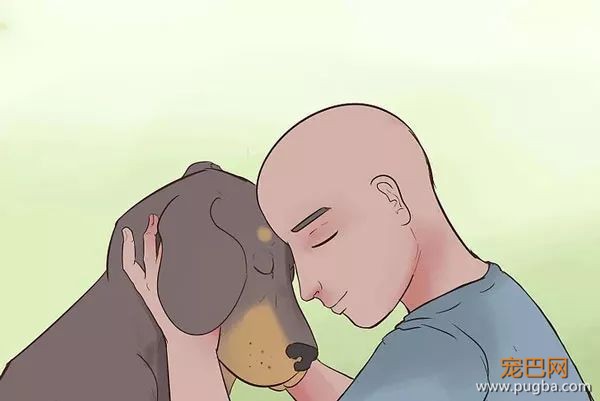 这23件能让狗狗幸福的事，你做到了几件？-1.jpeg