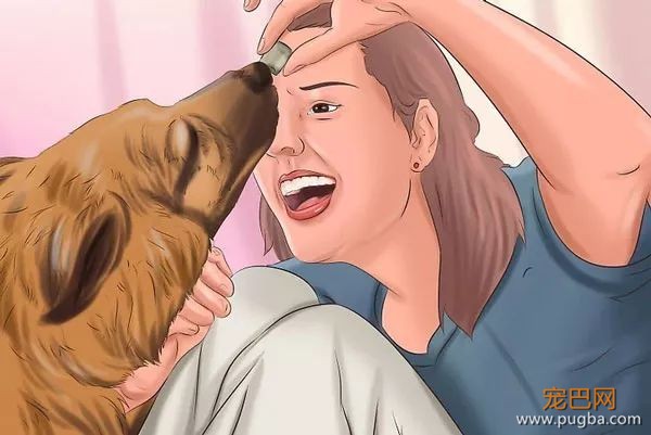 这23件能让狗狗幸福的事，你做到了几件？-10.jpeg