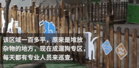 郑州某小区设置遛狗专区：这种操作真的666！-3.gif